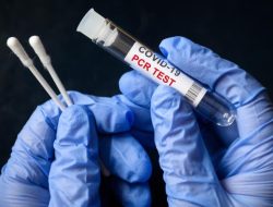 Syarat PCR dan Antigen untuk Perjalanan Domestik Dihapuskan