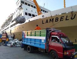 Asosiasi Pedagang Rumput Laut Nunukan Sebut Pelni Tak Transparan 