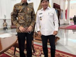 Gubernur Kaltara Ikut Ratas Dipimpin Presiden Jokowi, Genjot Pembangunan Kawasan Industri Hijau Kaltara