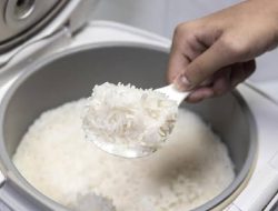 DPR Dukung Penganggaran Rp340 Miliar untuk Bagi-bagi 680 Ribu Rice Cooker 