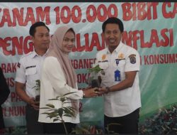 Upaya Kendalikan Inflasi, Pemkab Nunukan Beri Bantuan 100.000 Bibit Cabai