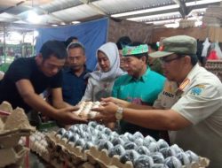 Kunjungi Pasar Induk Tanjung Selor, Gubernur Kaltara Sebut Stabilitas Harga Bahan Pokok Tetap Terjaga Jelang Idulfitri 