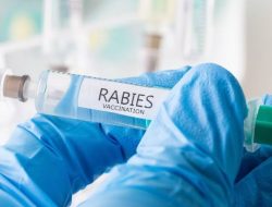 Dinas Kesehatan Kaltara Vaksin Rabies Sudah Terdistribusi ke Daerah