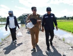 Mudahkan Mobilitas Petani, Bulungan Terus Kebut Jalan Usaha Tani