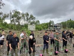 Komitmen Lingkungan Kalimantan Utara: Kegiatan Penanaman Pohon Serempak Tahun 2024 untuk Kelestarian Alam dan Perubahan Iklim