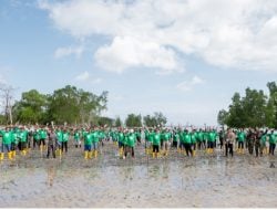 Cegah Abrasi Pantai dan Kurangi Emisi Karbon, Pertamina EP Bunyu Field Tanam 1.000 Bibit Mangrove 