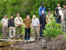 Konsulat Kanada Dukung Pemkab Bulungan Revitalisasi Mangrove Delta Kayan