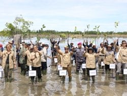 Gubenur Ikuti Kick Off Penanaman Mangrove For Coastal Resilience di Provinsi Kaltara