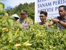 Kolaborasi KPw BI dan Pemprov Kaltara dalam Pengendalian Inflasi