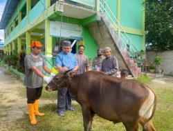 Gubernur Kaltara Serahkan Hewan Kurban