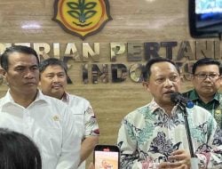 Mendagri Tito: Minggu Kedua Juli Harga Beras Mulai Naik