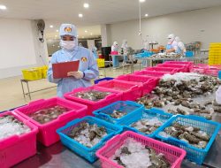 DKP Petakan Potensi Hilirasi Produk Perikanan