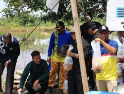 Kawasan Budidaya Perikanan Lubek Manis Potensi Dikembangkan Jadi Agrowisata Terpadu