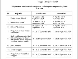 Pendaftaran CPNS 2024 Diperpanjang Hingga 10 September 