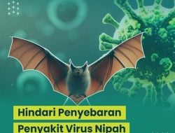 Dinkes Kaltara Minta Masyarakat Waspada Virus Nipah