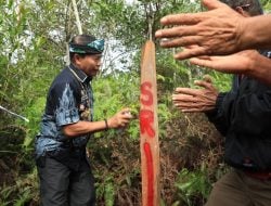 Gubernur Kaltara Dukung Program Sekolah Rakyat Ciptakan Pendidikan Inklusif 