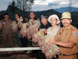 Pemprov Kaltara Dan Pemkab Enrekang Siap Jalin Kerja Sama Jaga Stabilitas Pangan Nasional
